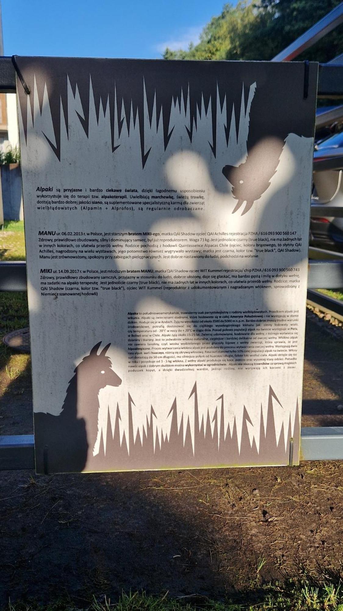 5 Zmyslow Akademia Wypoczynku Domki Grzybowo  Exterior foto